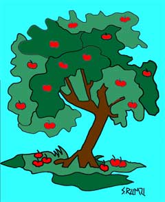 Apple-Tree.jpg